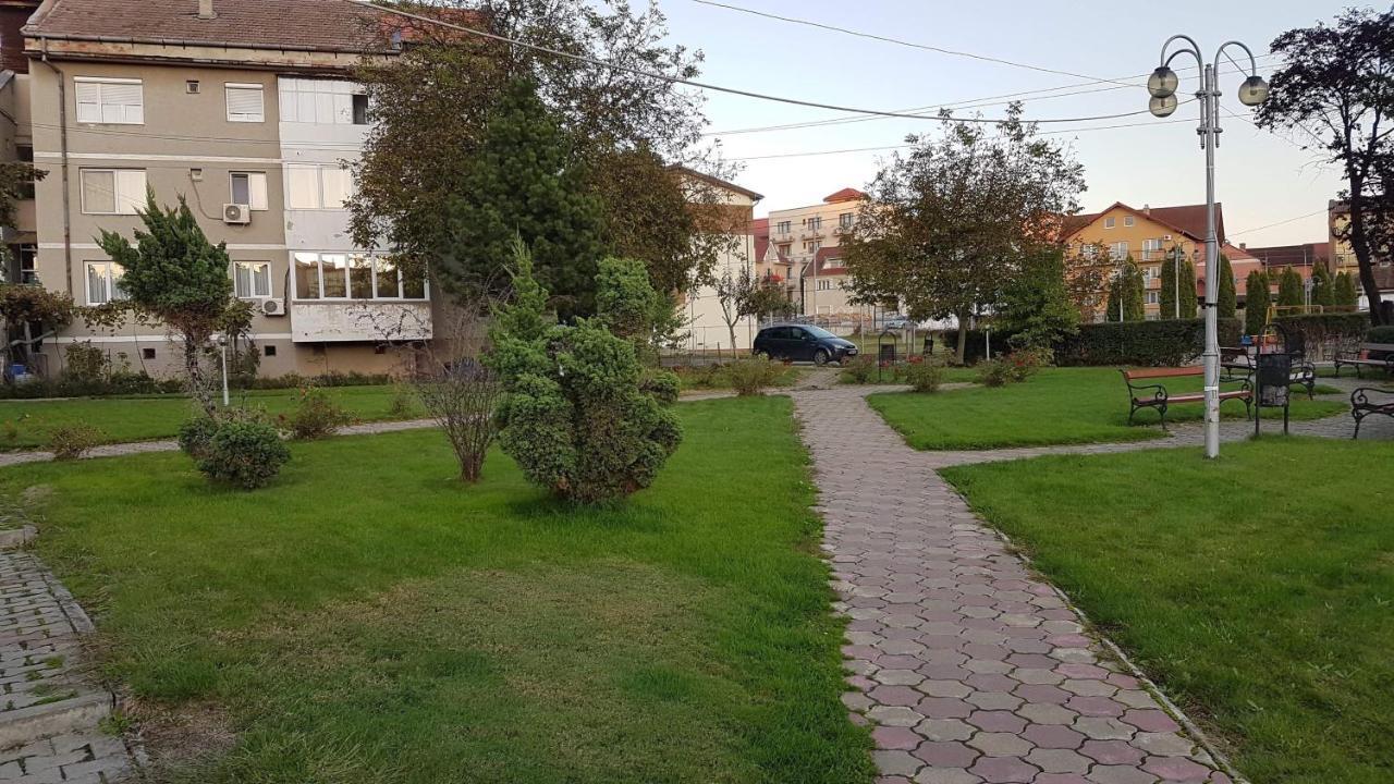 Apartament Ema Baile Felix Ngoại thất bức ảnh